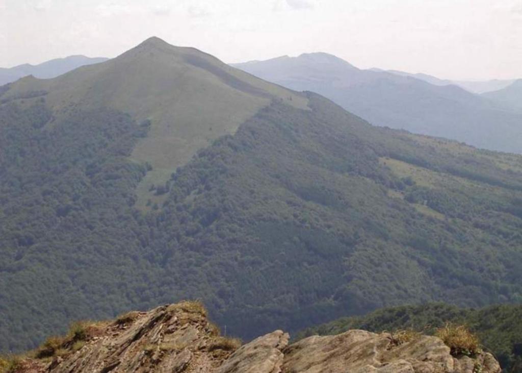 Perelka Natura Tour Hotel Cisna Kültér fotó
